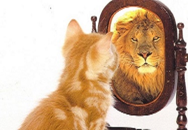 En la imagen se ve a un gato frente a un espejo en el que parece un león